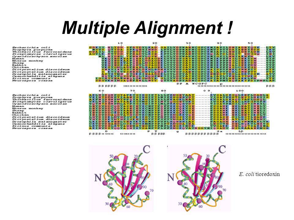 Multiple Alignment ! E. coli tioredoxin