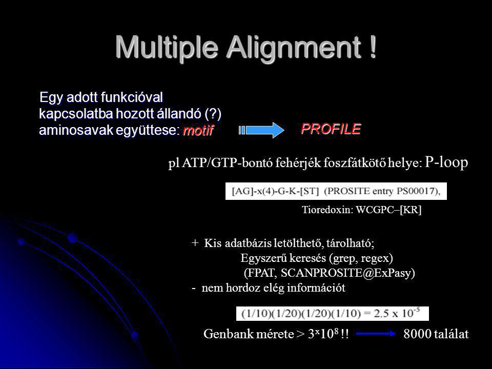 Multiple Alignment ! Egy adott funkcióval kapcsolatba hozott állandó ( ) aminosavak együttese: motif.