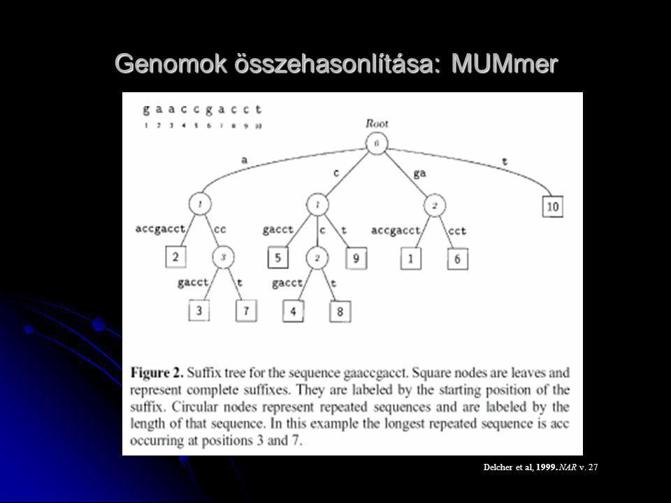 Genomok összehasonlítása: MUMmer
