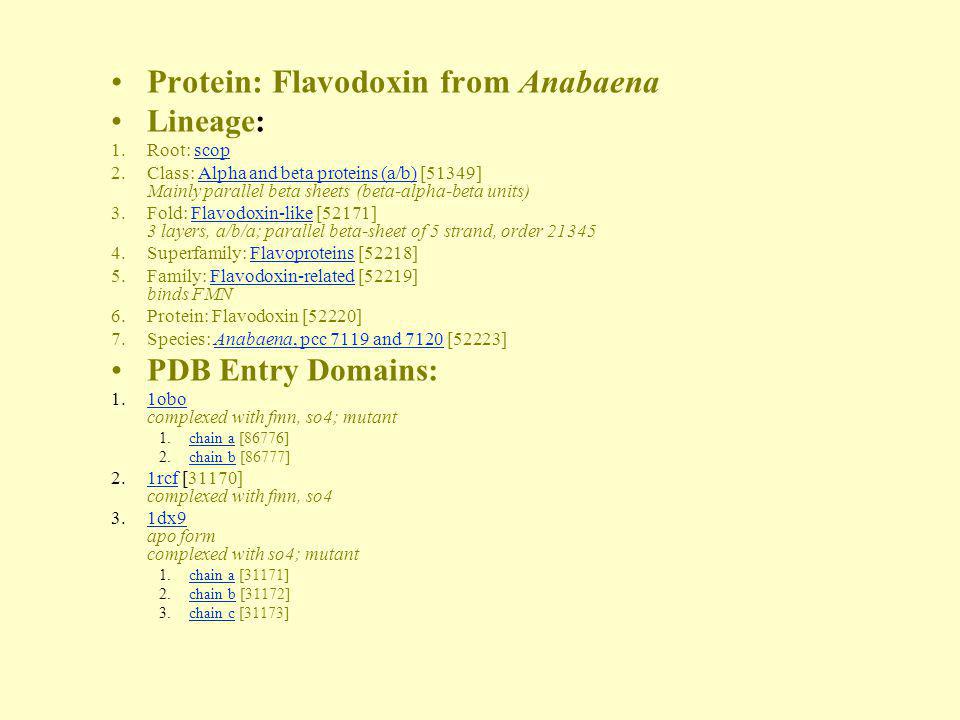 Protein: Flavodoxin from Anabaena