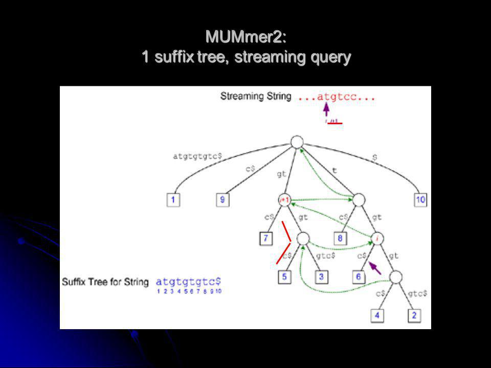 MUMmer2: 1 suffix tree, streaming query