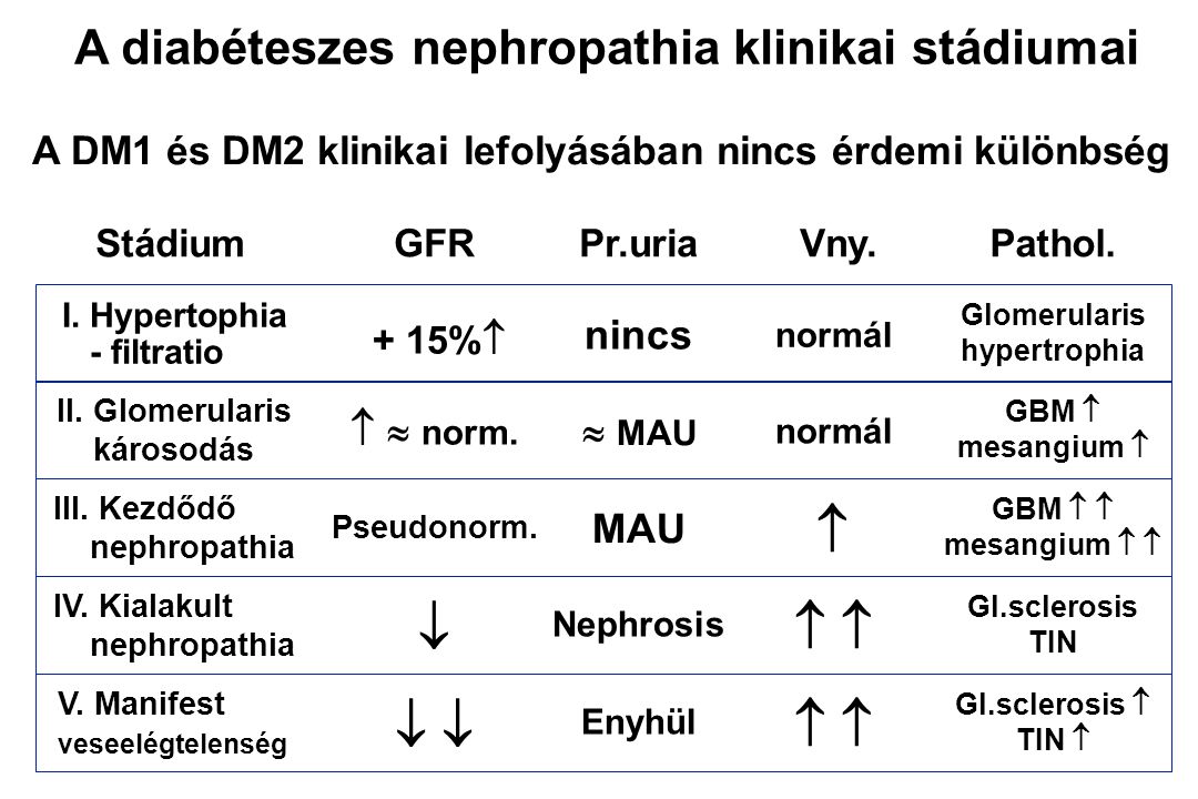 A diabéteszes nephropathia klinikai stádiumai
