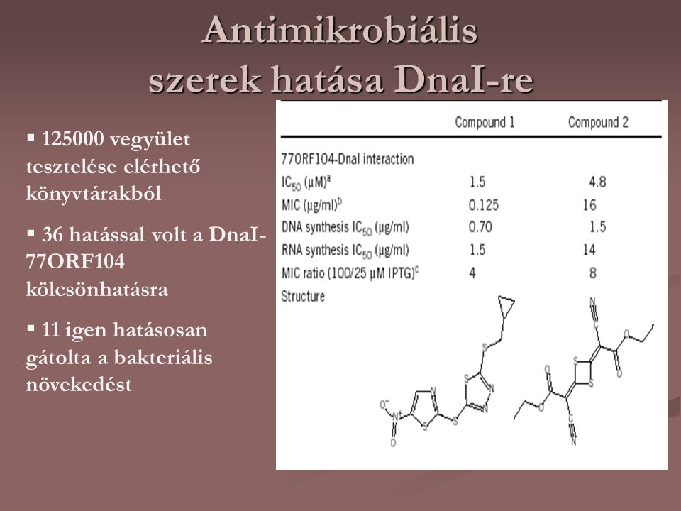 Antimikrobiális szerek hatása DnaI-re