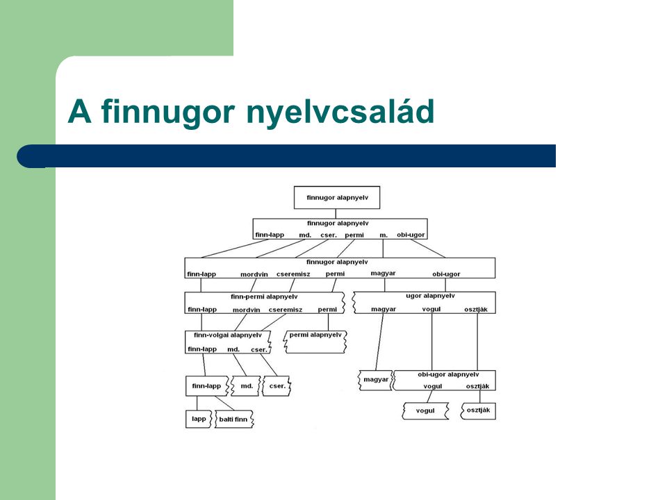 A finnugor nyelvcsalád