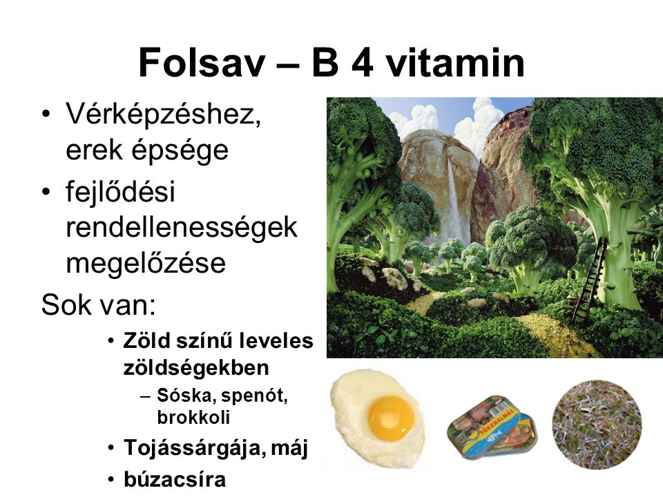 Folsav – B 4 vitamin Vérképzéshez, erek épsége