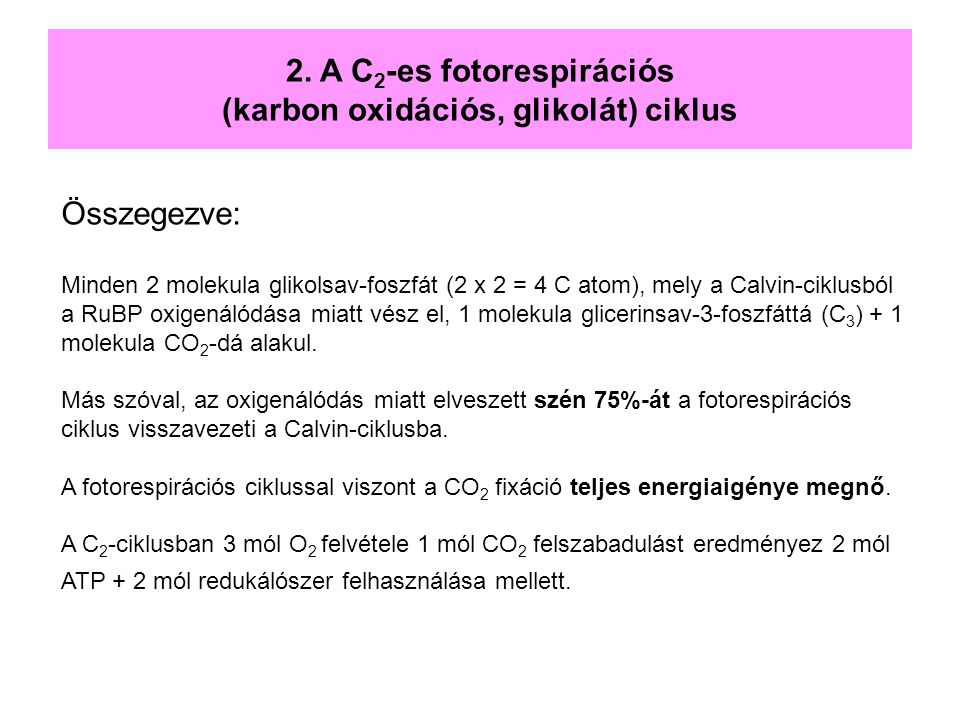 2. A C2-es fotorespirációs (karbon oxidációs, glikolát) ciklus