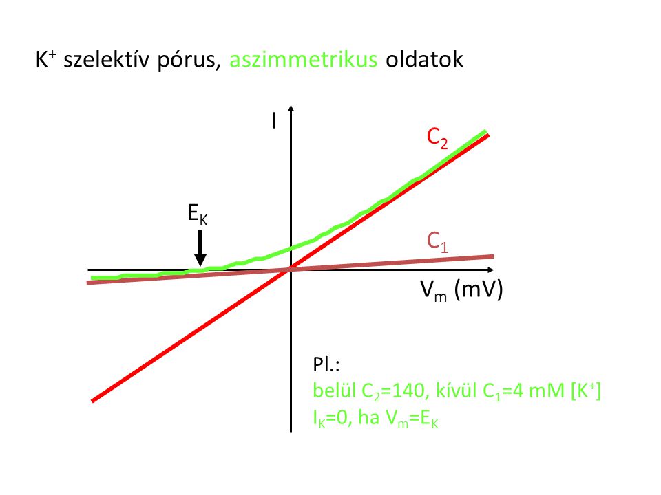 K+ szelektív pórus, aszimmetrikus oldatok