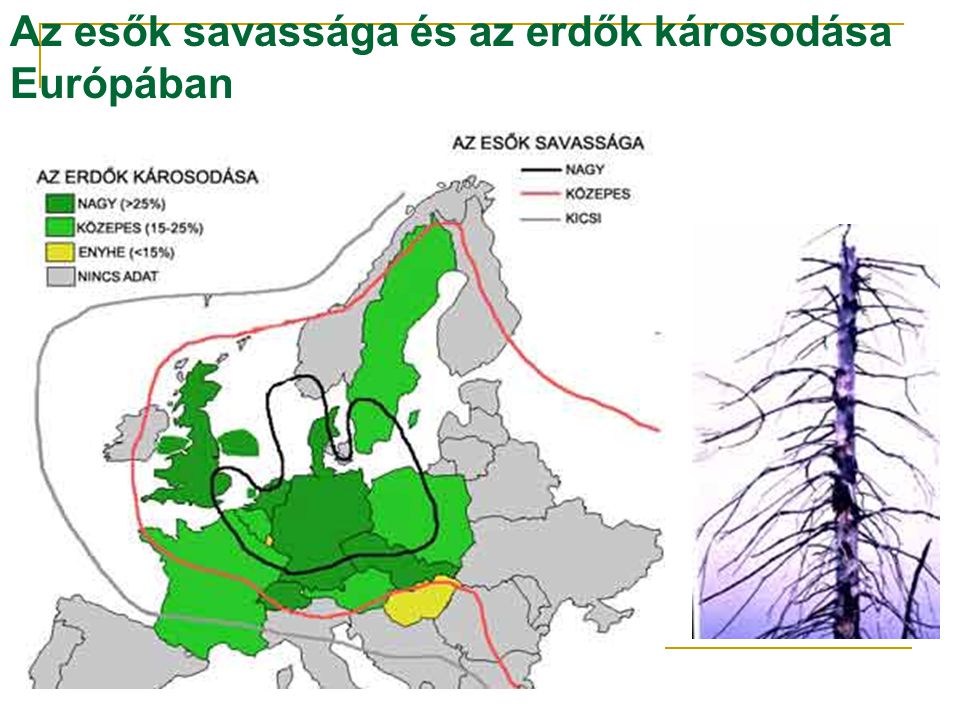 Az esők savassága és az erdők károsodása Európában