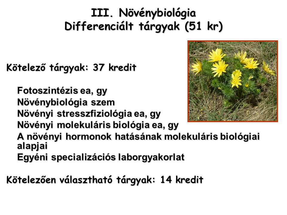 III. Növénybiológia Differenciált tárgyak (51 kr)