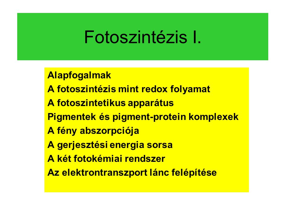Fotoszintézis I. Alapfogalmak A fotoszintézis mint redox folyamat