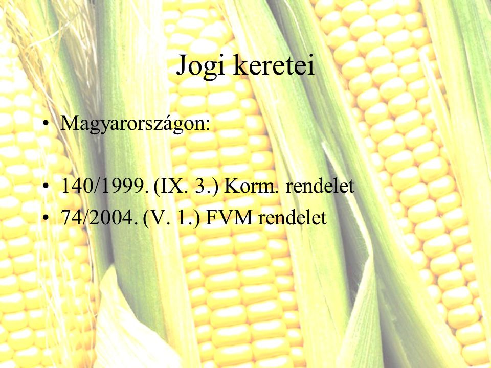 Jogi keretei Magyarországon: 140/1999. (IX. 3.) Korm. rendelet