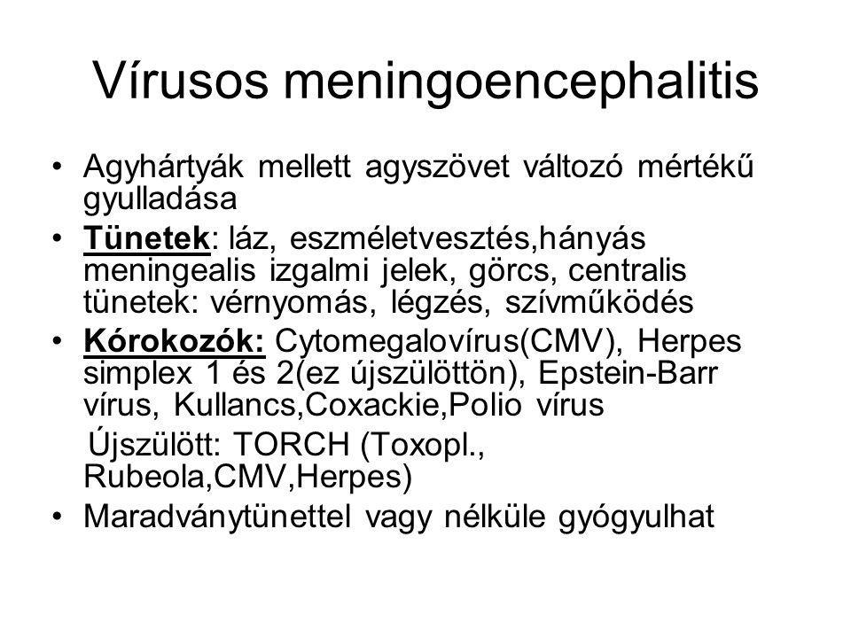 Vírusos meningoencephalitis