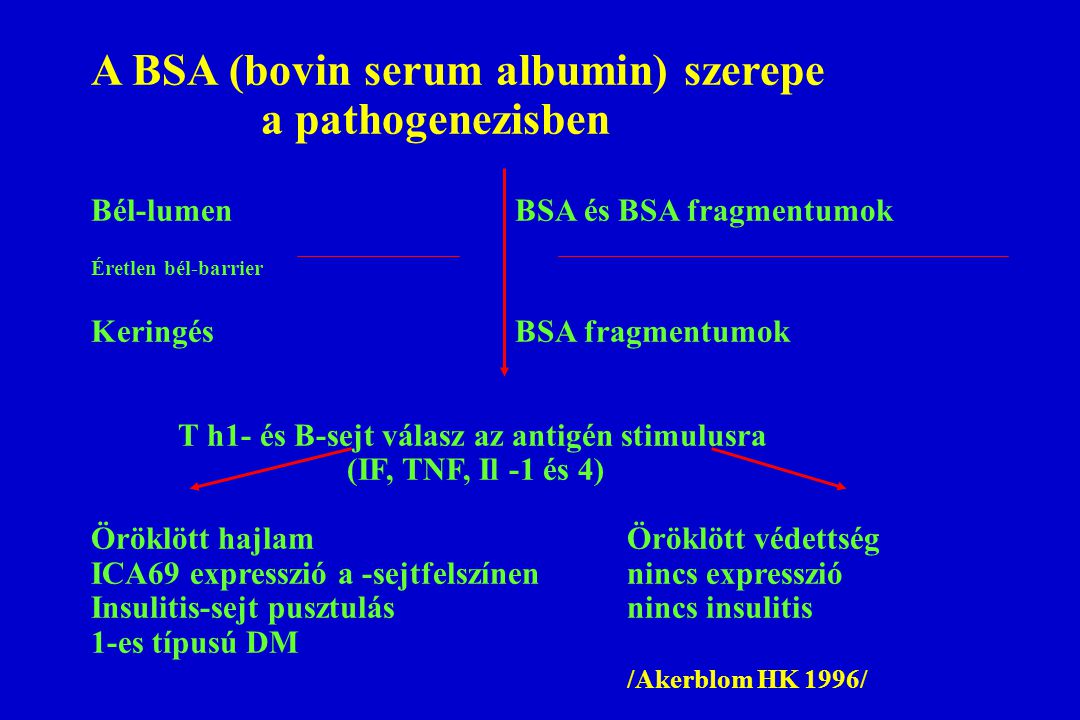 A BSA (bovin serum albumin) szerepe a pathogenezisben