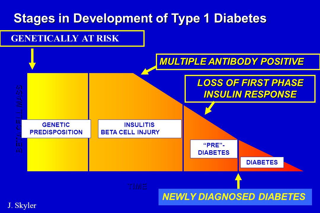 Stages in Development of Type 1 Diabetes