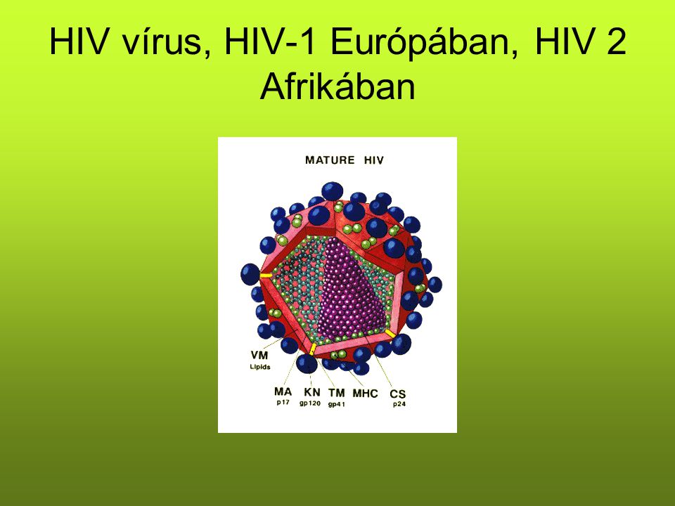 HIV vírus, HIV-1 Európában, HIV 2 Afrikában