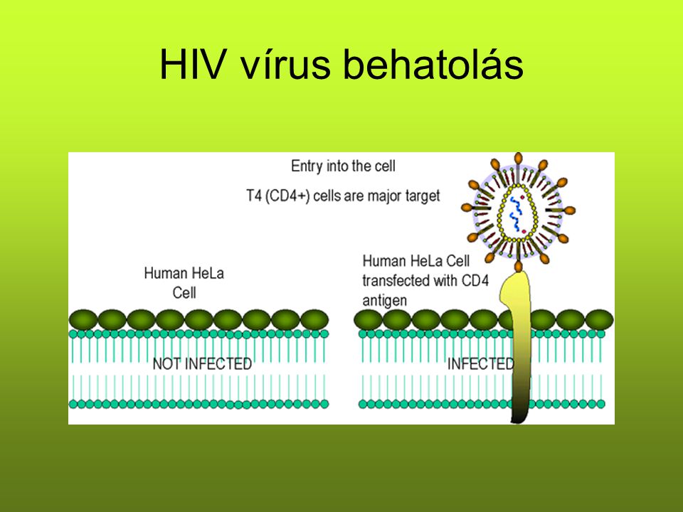 HIV vírus behatolás