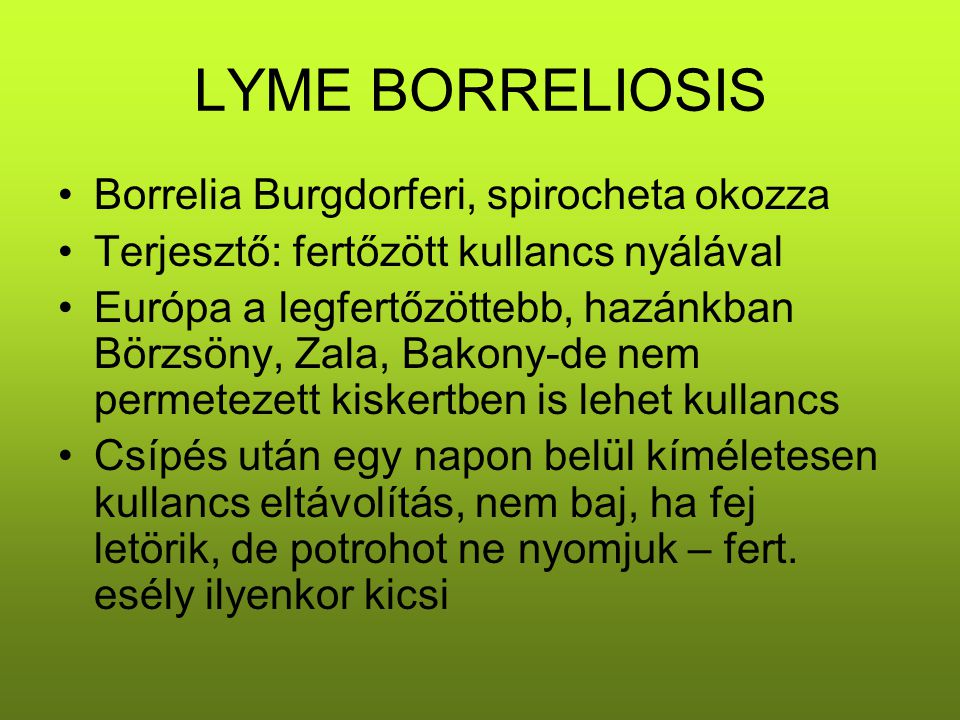 LYME BORRELIOSIS Borrelia Burgdorferi, spirocheta okozza