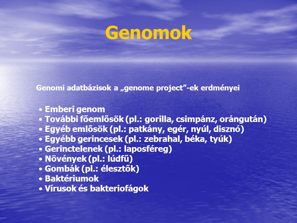 Genomok Genomi adatbázisok a „genome project -ek erdményei. Emberi genom. További főemlősök (pl.: gorilla, csimpánz, orángután)