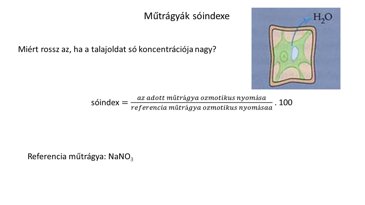 Műtrágyák sóindexe Miért rossz az, ha a talajoldat só koncentrációja nagy Referencia műtrágya: NaNO3.