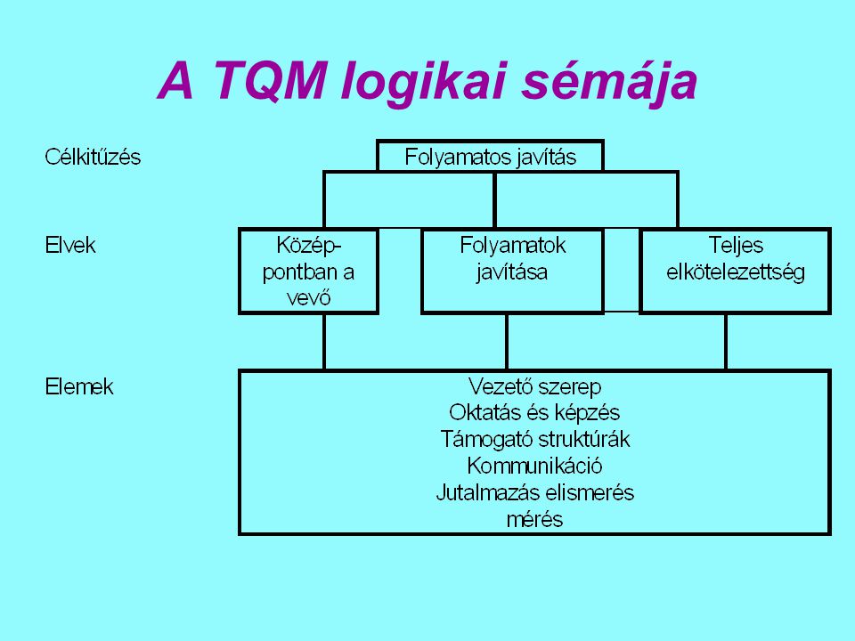 A TQM logikai sémája