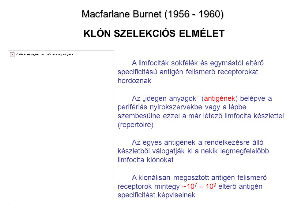 Macfarlane Burnet ( ) KLÓN SZELEKCIÓS ELMÉLET