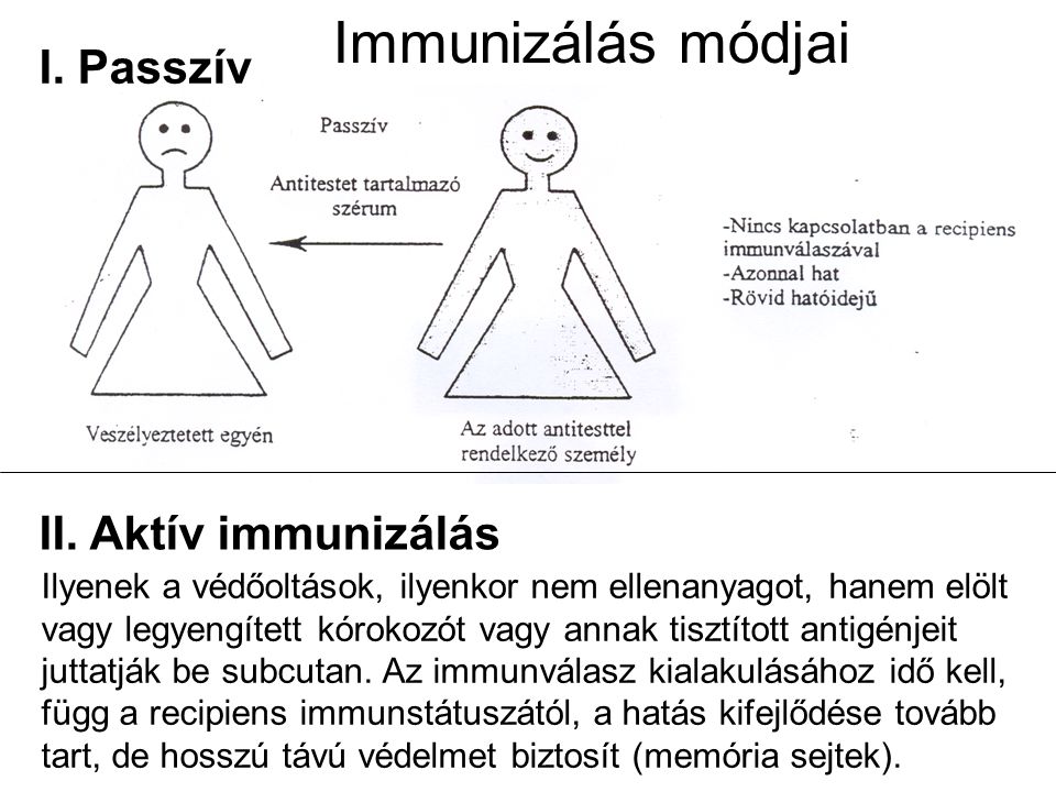 Immunizálás módjai I. Passzív II. Aktív immunizálás