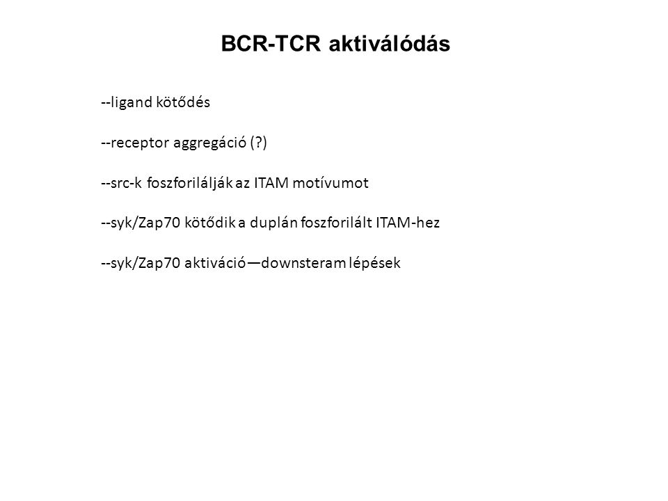 BCR-TCR aktiválódás --ligand kötődés --receptor aggregáció ( )