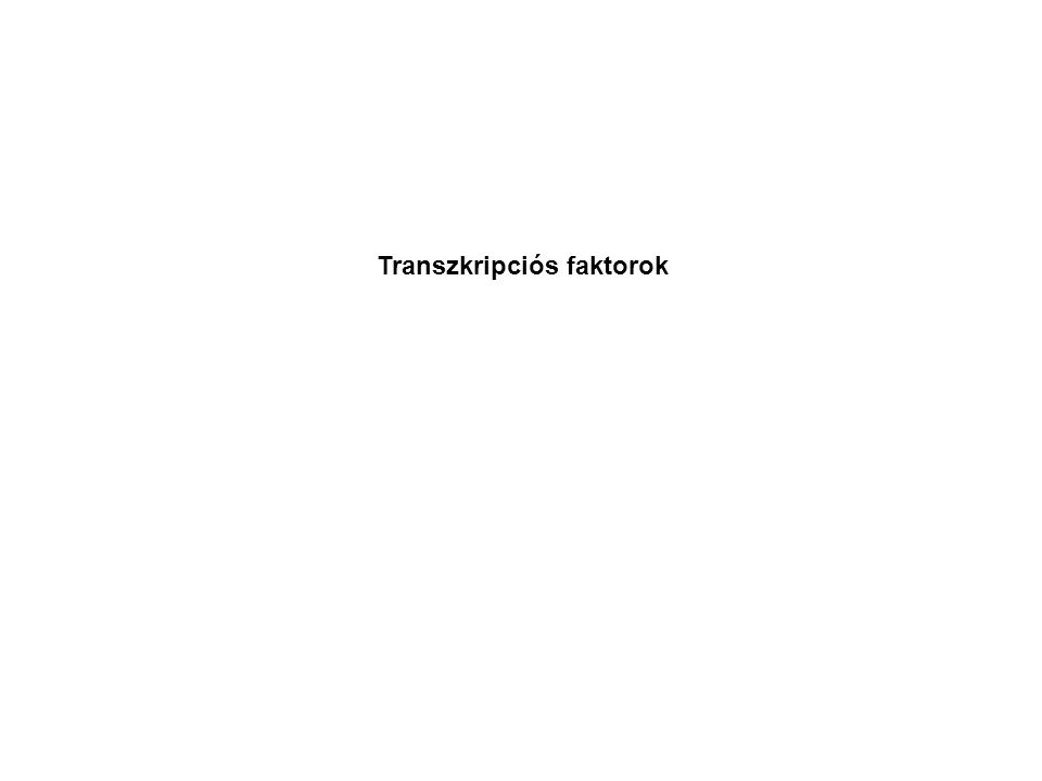 Transzkripciós faktorok