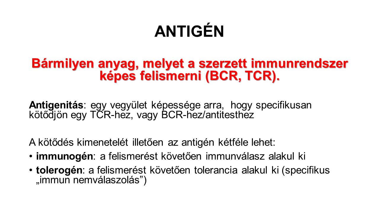 ANTIGÉN Bármilyen anyag, melyet a szerzett immunrendszer képes felismerni (BCR, TCR).