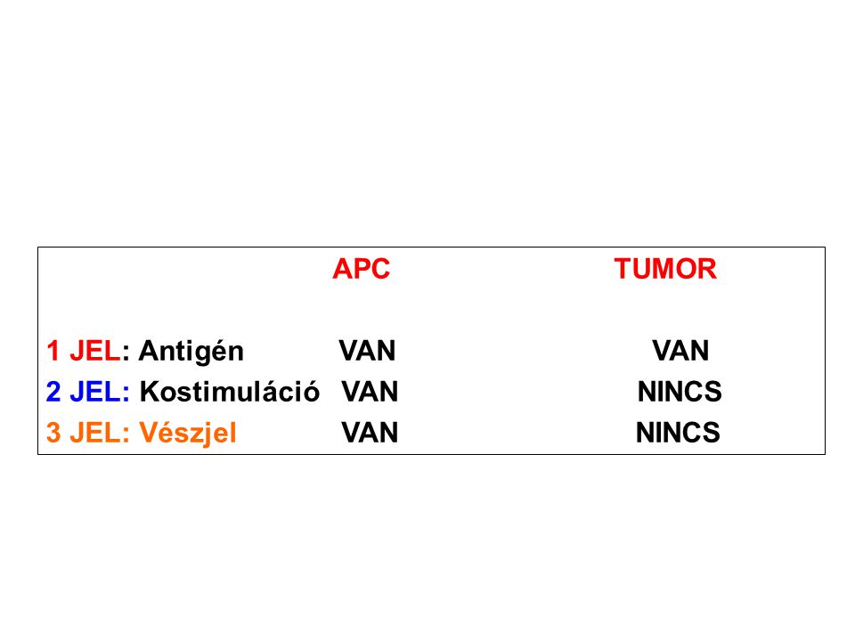 APC TUMOR 1 JEL: Antigén VAN VAN. 2 JEL: Kostimuláció VAN NINCS.
