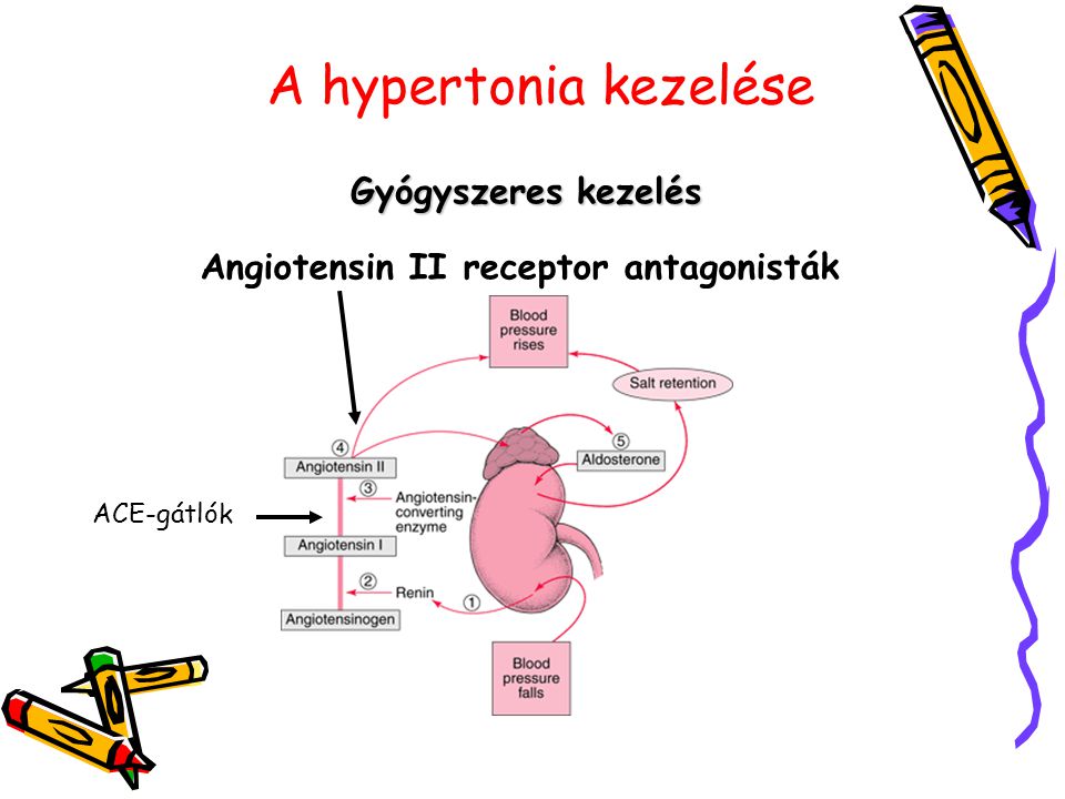 Angiotensin II receptor antagonisták