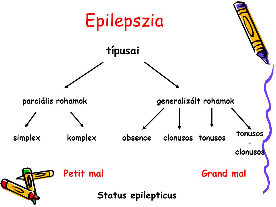 Epilepszia típusai Petit mal Grand mal Status epilepticus