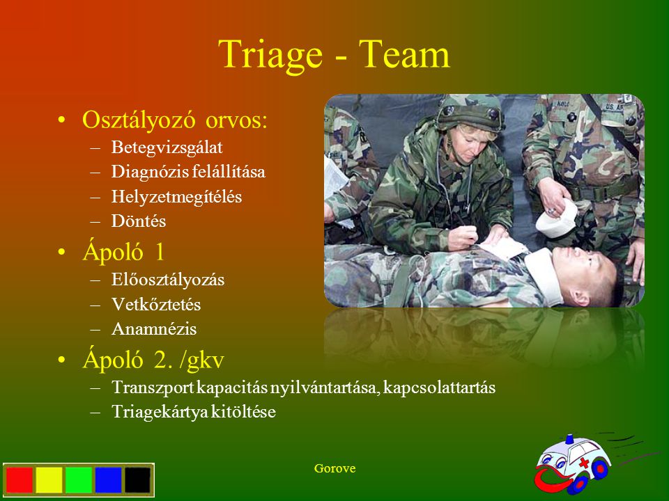 Triage - Team Osztályozó orvos: Ápoló 1 Ápoló 2. /gkv Betegvizsgálat