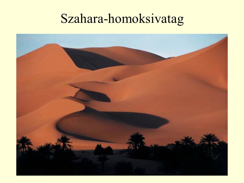 Szahara-homoksivatag