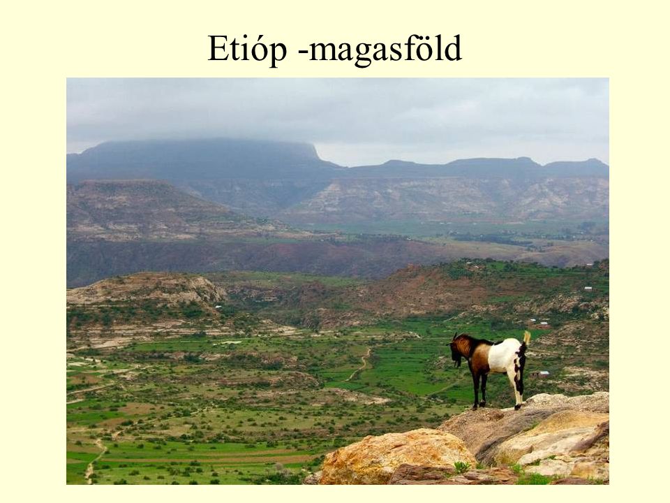Etióp -magasföld