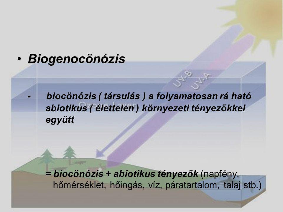 Biogenocönózis - biocönózis ( társulás ) a folyamatosan rá ható abiotikus ( élettelen ) környezeti tényezőkkel együtt.