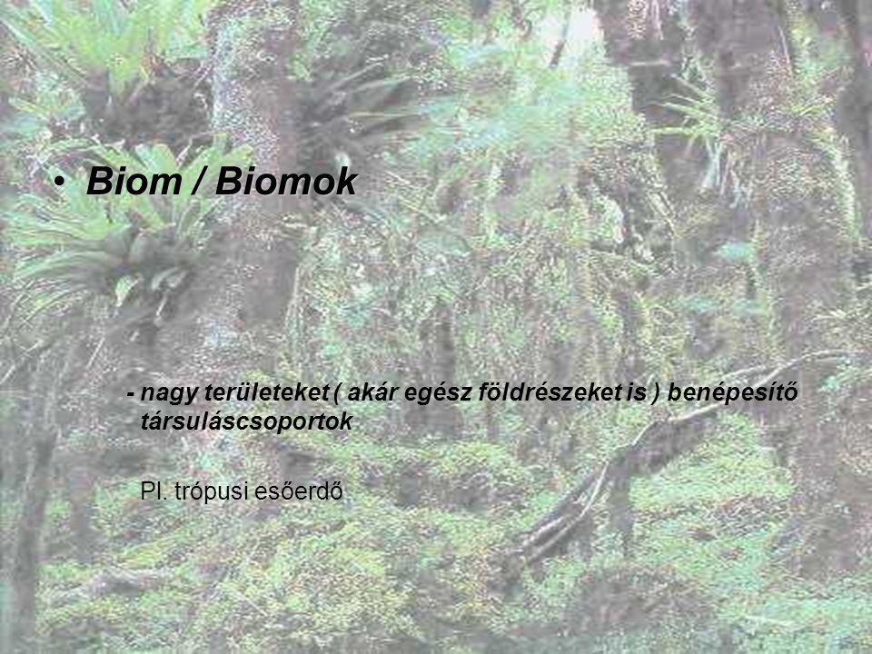 Biom / Biomok - nagy területeket ( akár egész földrészeket is ) benépesítő társuláscsoportok.