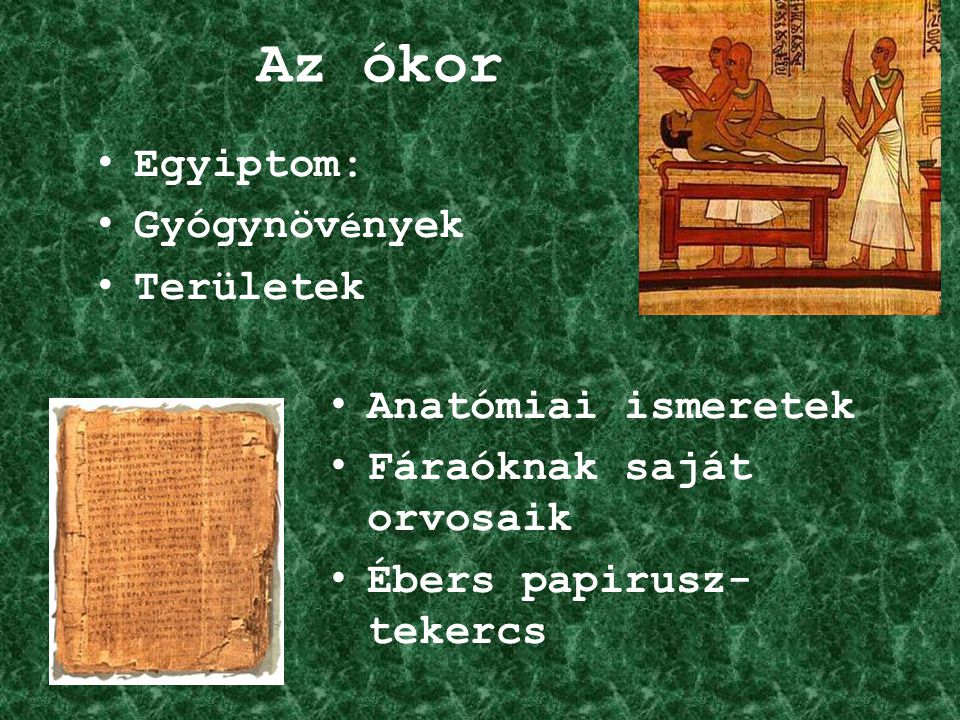 Az ókor Egyiptom: Gyógynövények Területek Anatómiai ismeretek