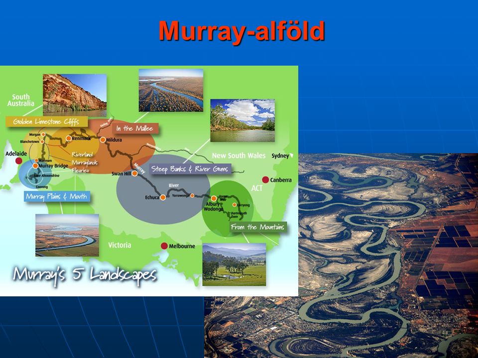 Murray-alföld