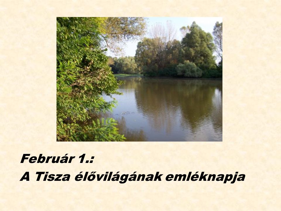 Február 1.: A Tisza élővilágának emléknapja