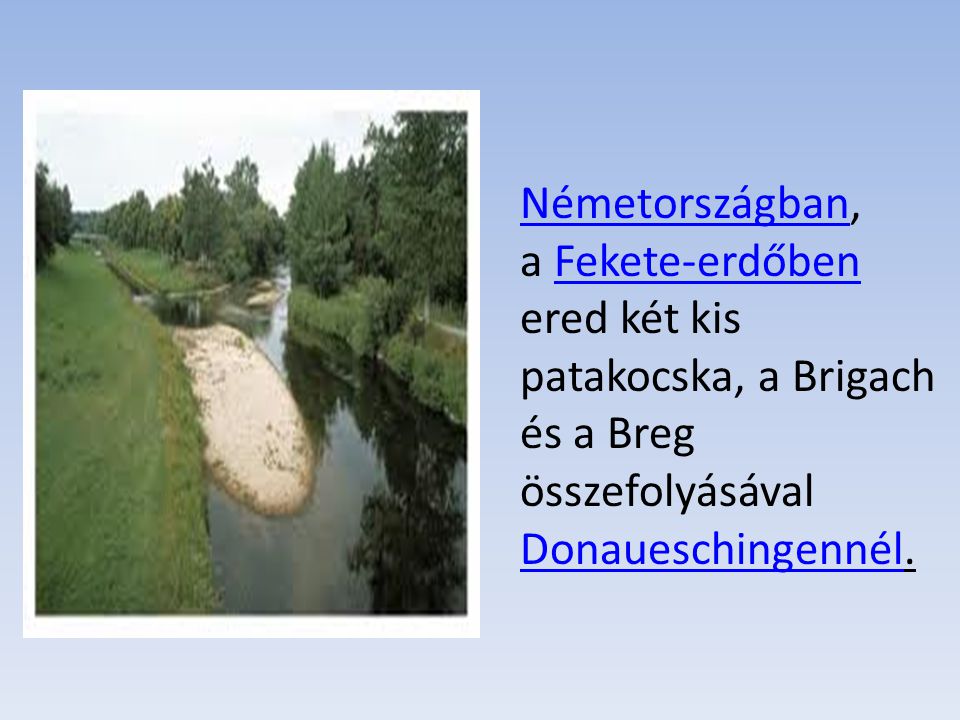 Németországban, a Fekete-erdőben ered két kis patakocska, a Brigach és a Breg összefolyásával Donaueschingennél.