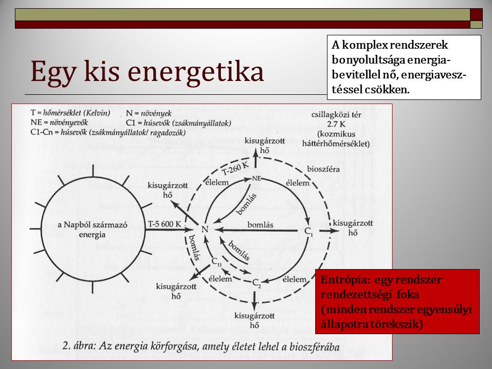 Egy kis energetika A komplex rendszerek bonyolultsága energia- bevitellel nő, energiavesz-téssel csökken.