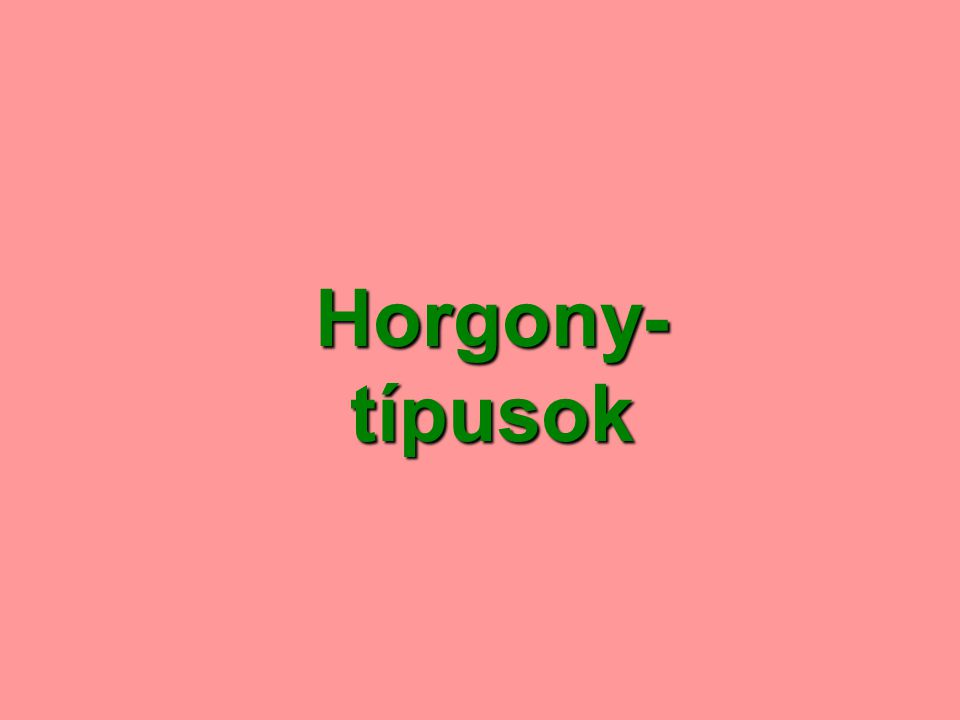 Horgony-típusok