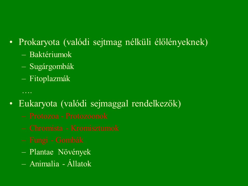 Prokaryota (valódi sejtmag nélküli élőlényeknek)
