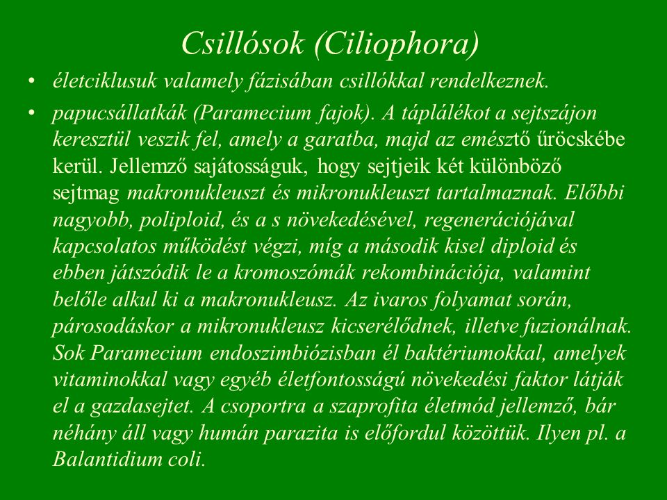 Csillósok (Ciliophora)