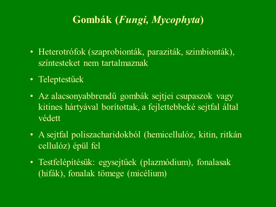 Gombák (Fungi, Mycophyta)