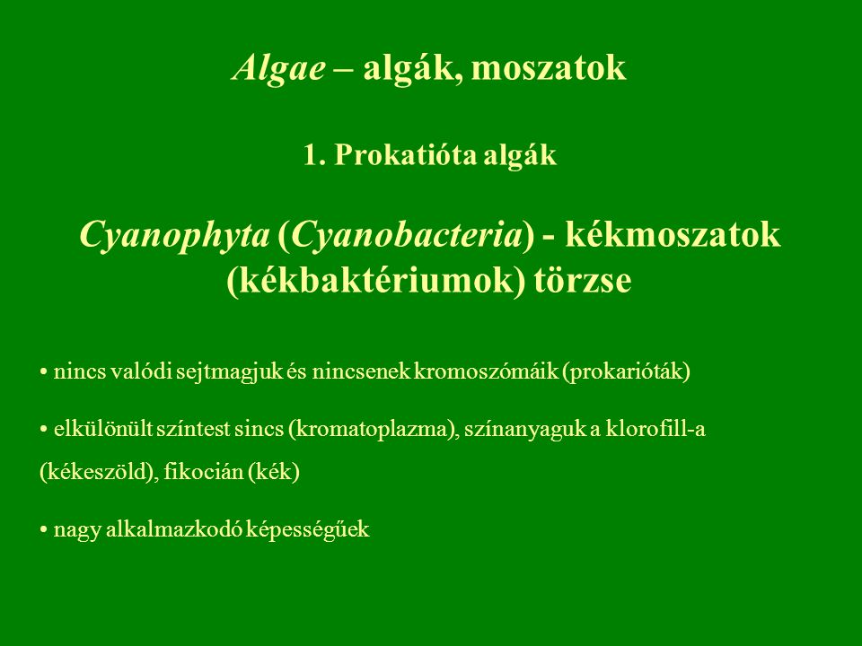 Cyanophyta (Cyanobacteria) - kékmoszatok (kékbaktériumok) törzse