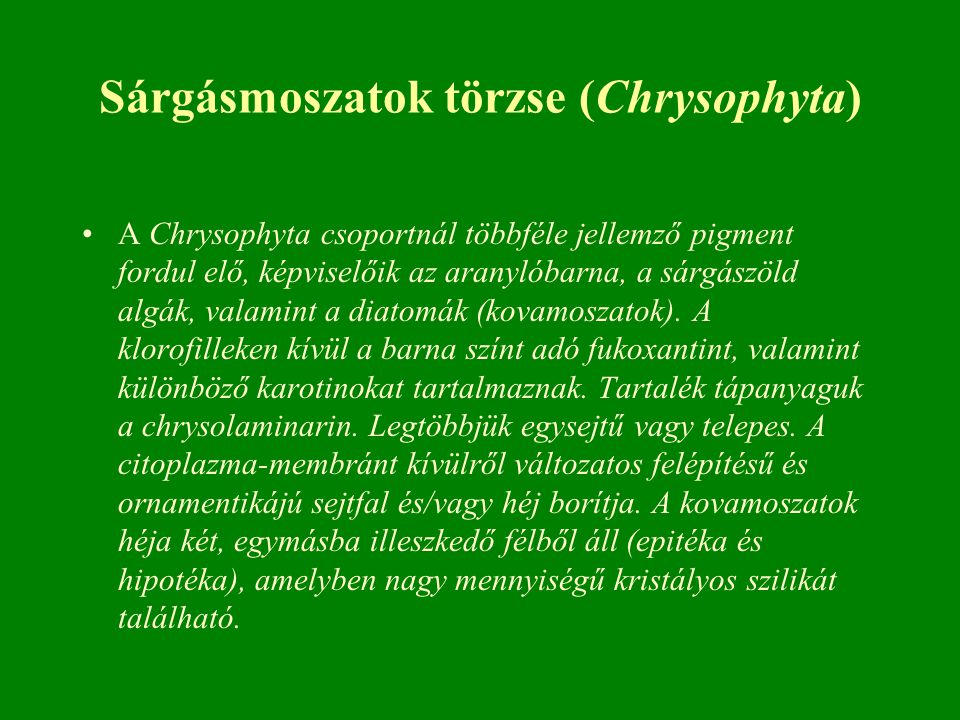 Sárgásmoszatok törzse (Chrysophyta)