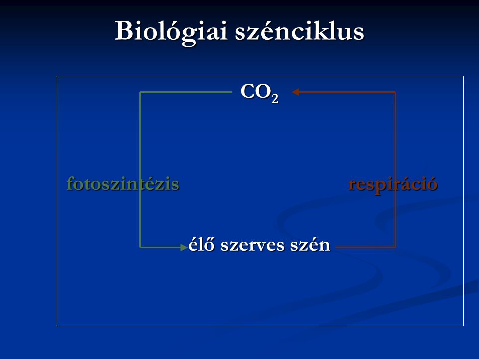 Biológiai szénciklus CO2 fotoszintézis respiráció élő szerves szén