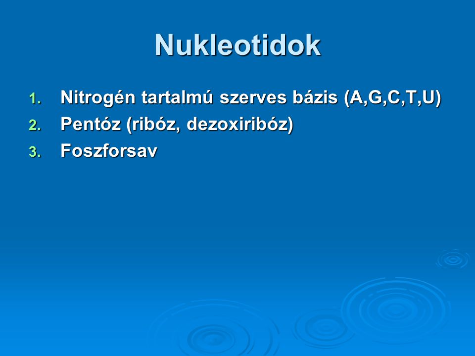 Nukleotidok Nitrogén tartalmú szerves bázis (A,G,C,T,U)